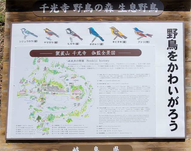 千光寺伽藍全系図と野鳥の看板
