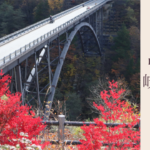 岐阜の橋ランキング