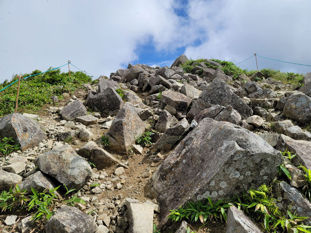 頂上付近は岩がゴロゴロしている
